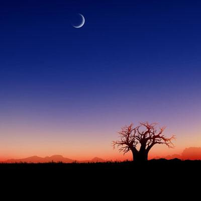 澳门天天免费资料大全下载app下载